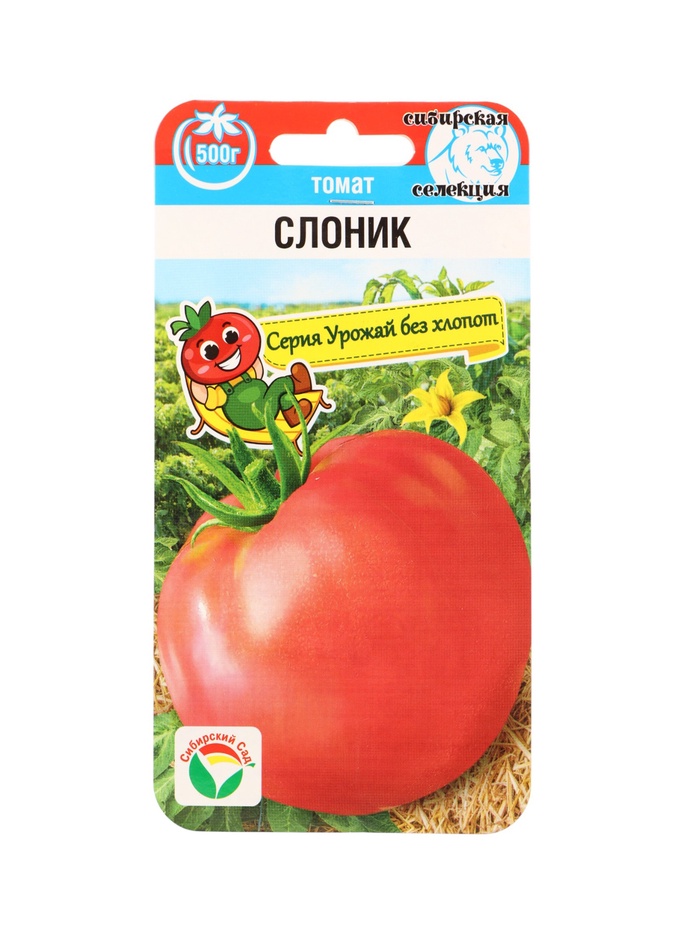 Семена Томат «Слоник», 20 шт., «Сибирский сад»